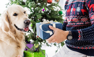 Six Gift Suggestions For New Dog Owners
