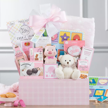 Welcome Home Baby Girl Gift Basket