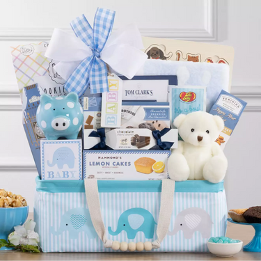 Bundle of Joy - Blue Gift Basket