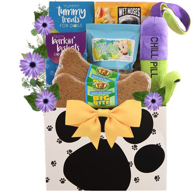 Sick As A Dog Gift Basket