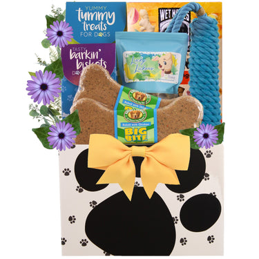 Sick As A Dog Gift Basket